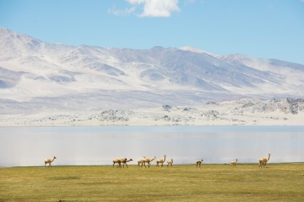 reizen reisfotografie projecten chili argentinie antarctica peru bolivie puna landscape photography