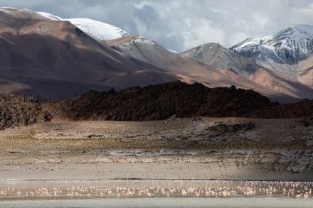 reizen reisfotografie projecten chili argentinie antarctica peru bolivie puna landscape photography