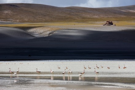 reizen reisfotografie projecten chili argentinie antarctica peru bolivie puna landscape photography