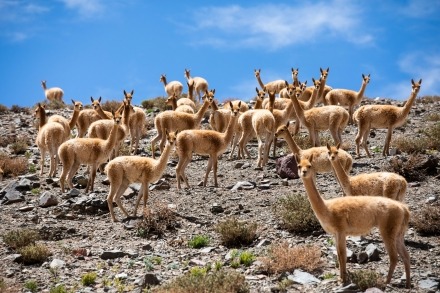 reizen reisfotografie projecten chili argentinie antarctica peru bolivie puna landscape photography